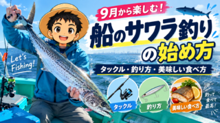 船のサワラ釣りの始め方|9月から楽しむタックル・釣り方・美味しい食べ方